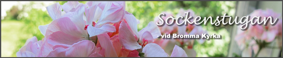 header4.png